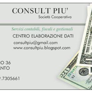 Consult Più