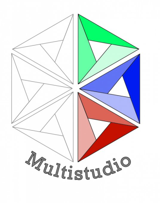 Multistudio srl