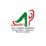 dott. Andrea Perrino Revisore Contabile di 