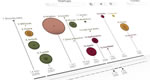 The Startup Universe