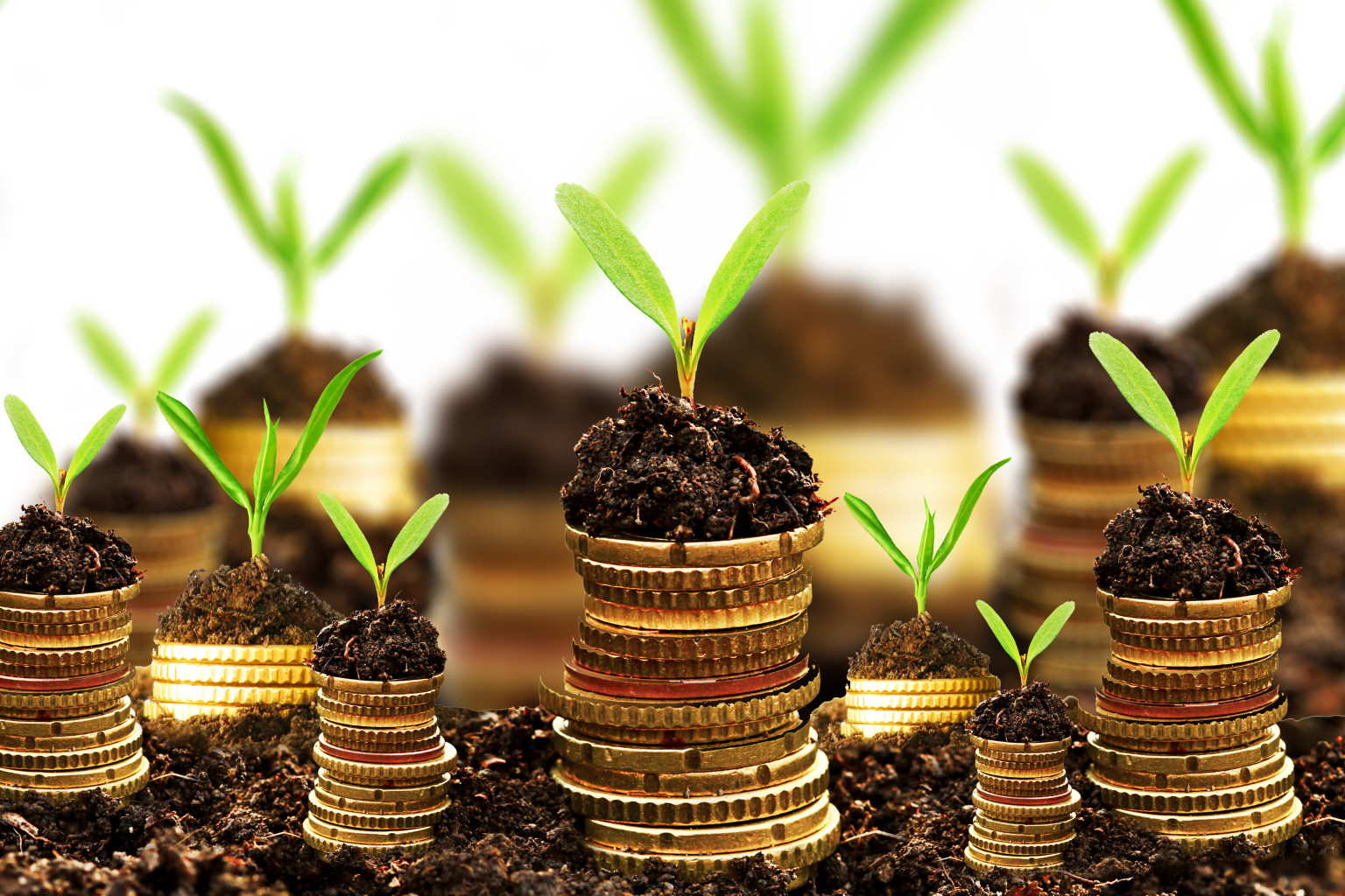 Come richiedere un finanziamento alle cooperative di piccola e media dimensione