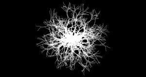 Alfredo Stellato – Responsabile Amministrativo